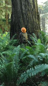 Image of Individual In Extreme Cruiser Vest Looking Up At A Large Tree