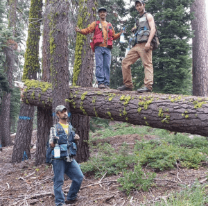 Image of Three Men in Forest Wearing Extreme Cruiser Forestry Vests